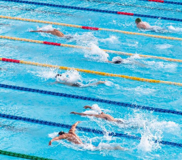 People swimming in a pool 