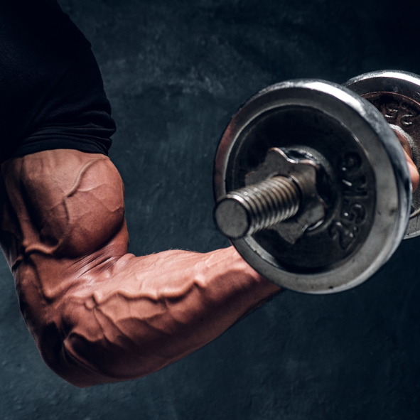 Man with muscle holding a weight